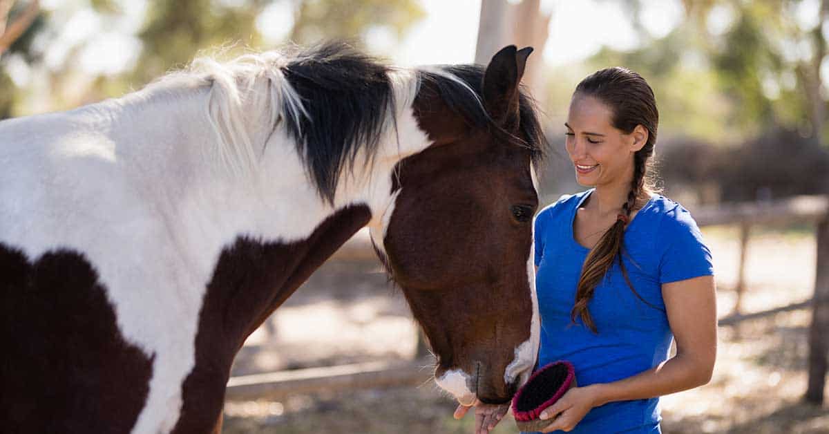 A woman in a blue shirt brushes a white and brown horse outdoors, focusing on the animal’s wellness.