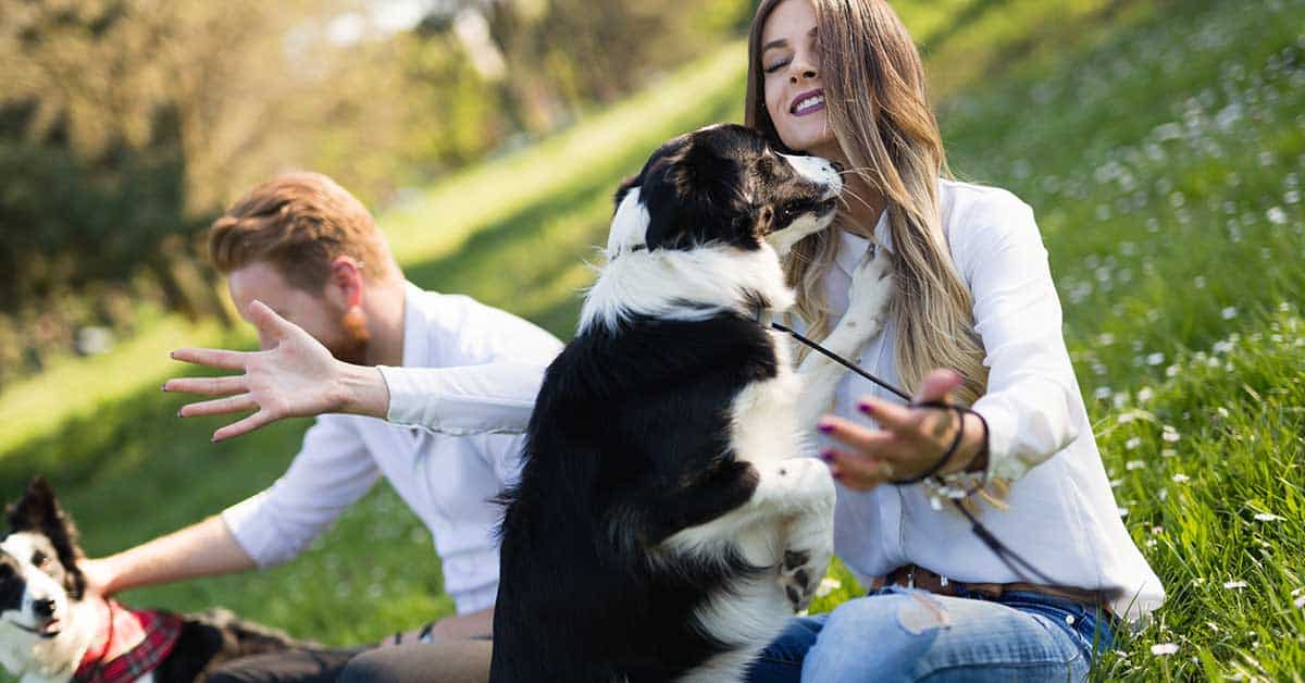 A woman sitting on grass is decoding pet behavior as she playfully interacts with a black and white dog while a man, also with a dog, observes in the background. They are in a sunny outdoor park setting.