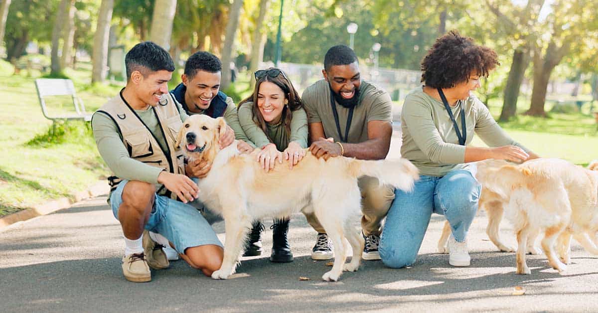 A group of five people sit and stand on a sunlit park path, engaging with two golden retrievers. The scene captures a moment where animal psychics help understand the pets' life transitions in this bright outdoor setting.