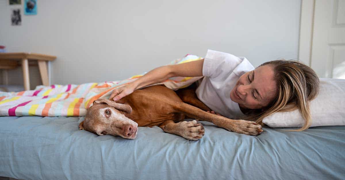 A woman lies in bed, smiling and petting a relaxed brown dog under a colorful striped blanket, offering comfort and warmth as part of their end-of-life care together.