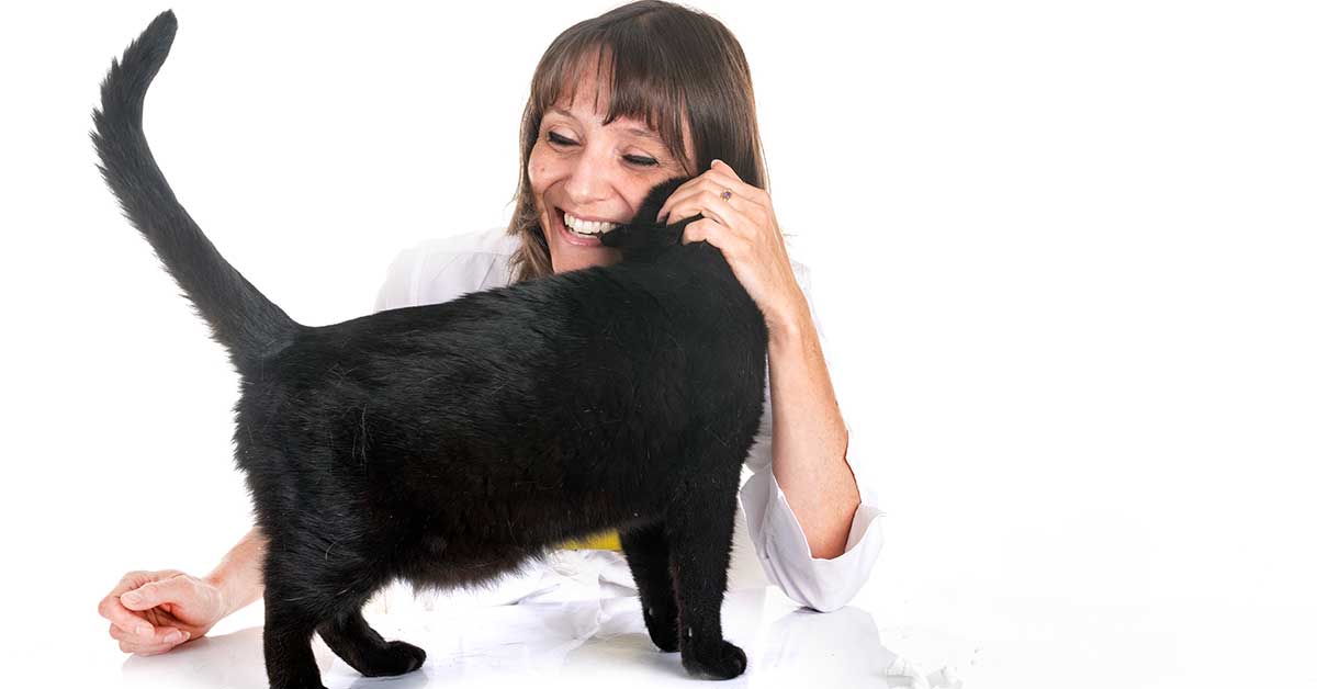 A woman smiles while scratching the head of a black cat standing on a white surface, as if she's tapping into her skills as an animal communicator.