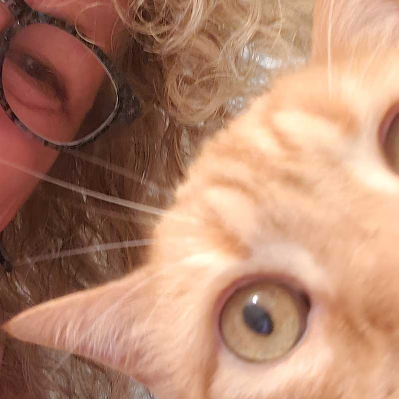 Close-up of a person wearing glasses and a ginger cat with wide eyes, radiating energy. The person's face is partially visible in the background, highlighting the wellness of this serene moment.